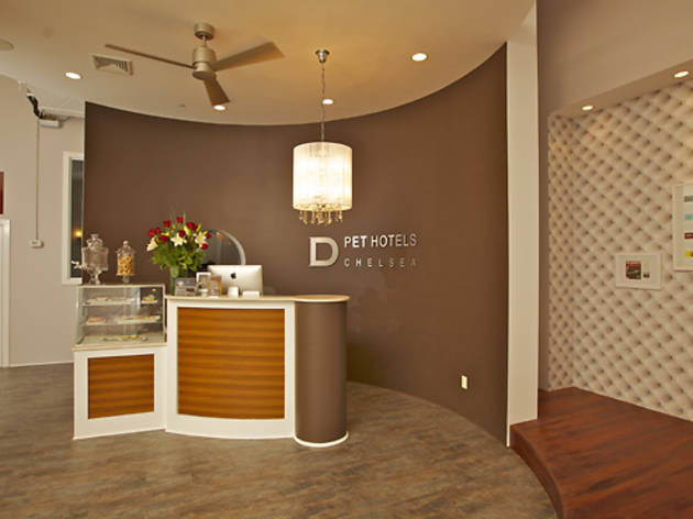 D Pet Hotels