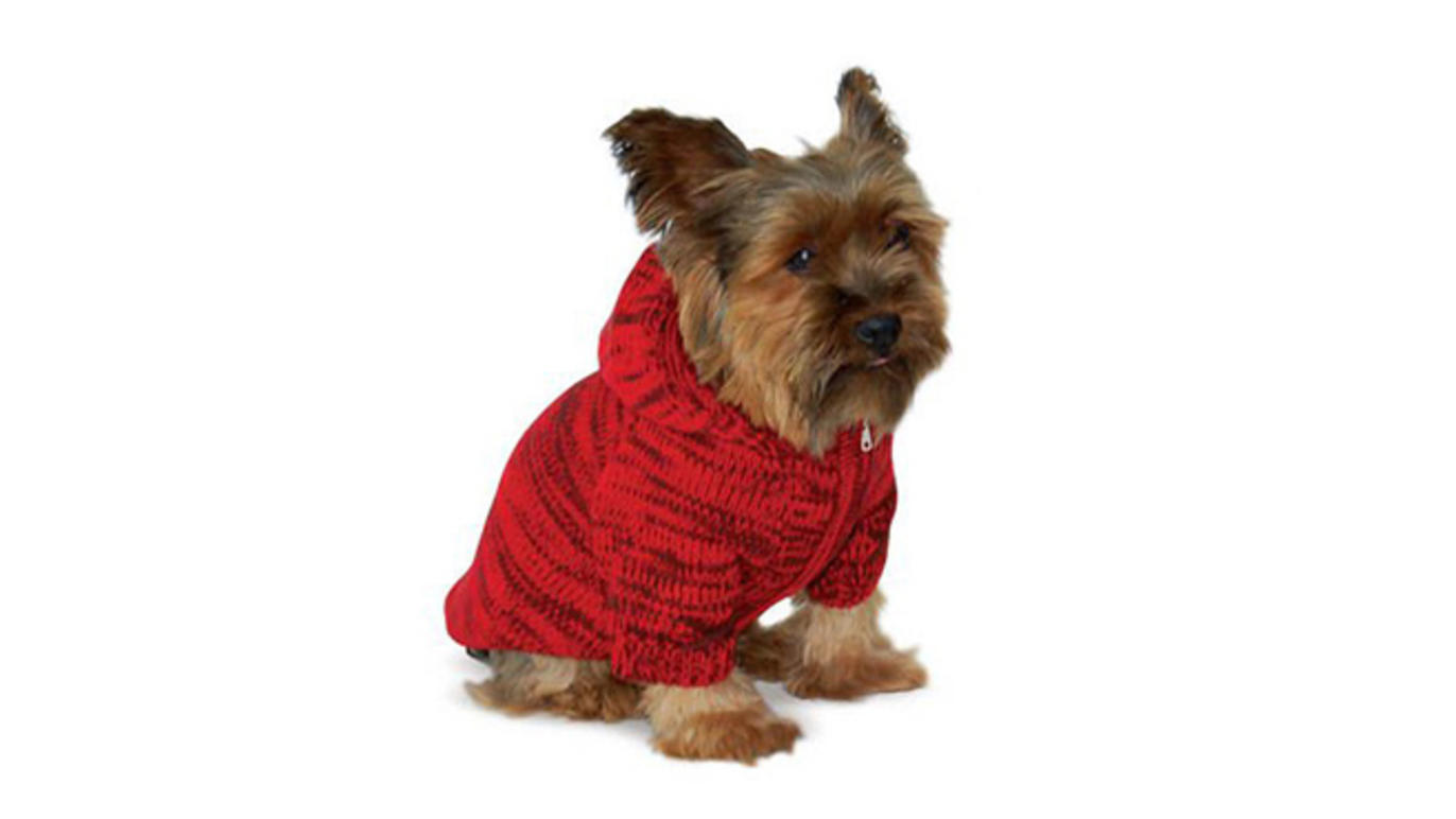 Best highend pet boutiques in New York City