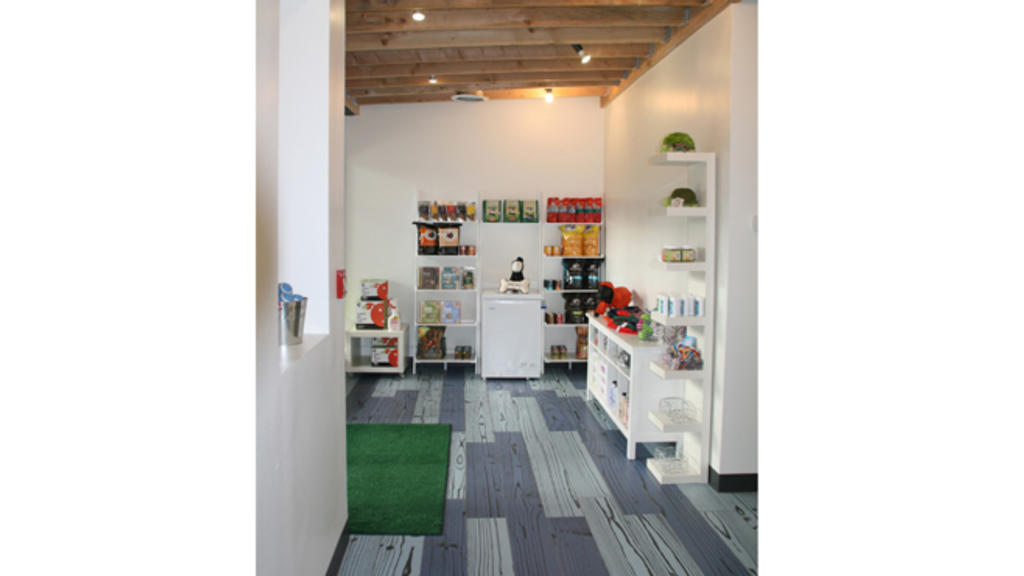 Best highend pet boutiques in New York City