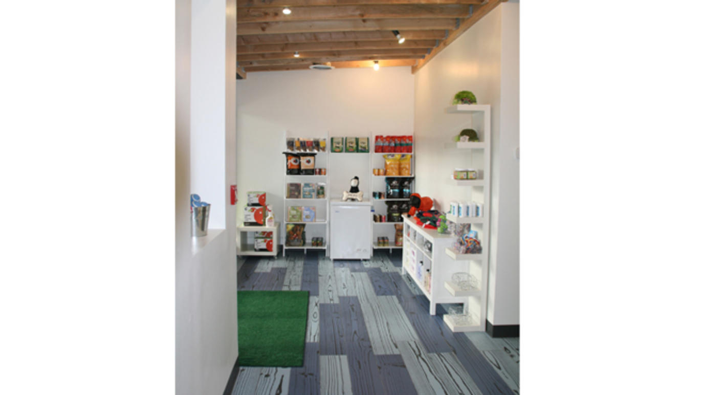 Best highend pet boutiques in New York City