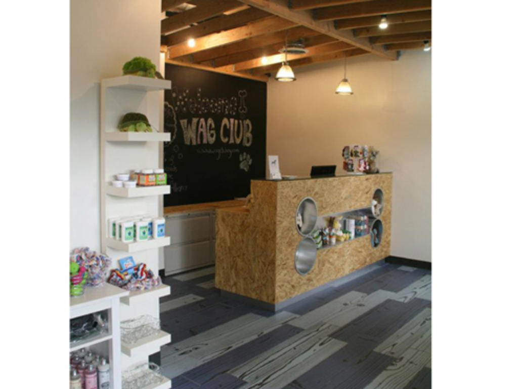 Best highend pet boutiques in New York City