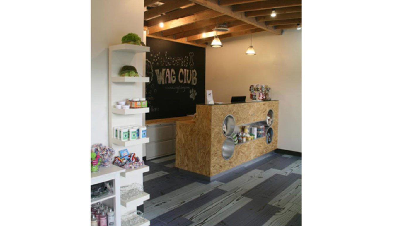 Best highend pet boutiques in New York City