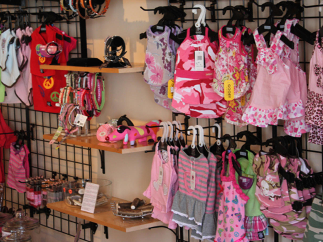 Best highend pet boutiques in New York City