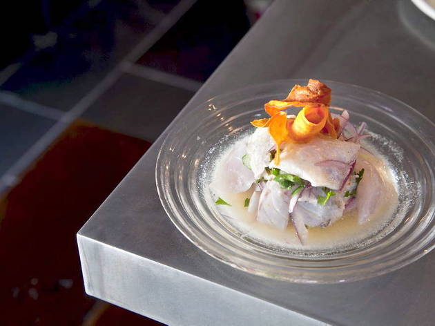 Un Artiste à la Table Ceviche