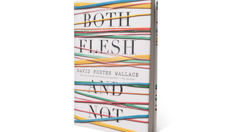 Both Flesh and Not by David Foster Wallace