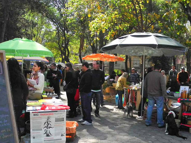Mercado el 100 Mercado el 100 (Foto Marianela Trueba)