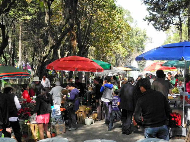 Mercado el 100 Mercado el 100 (Foto Marianela Trueba)