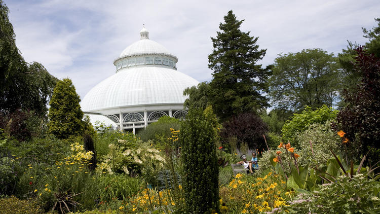 New York Botanical Garden