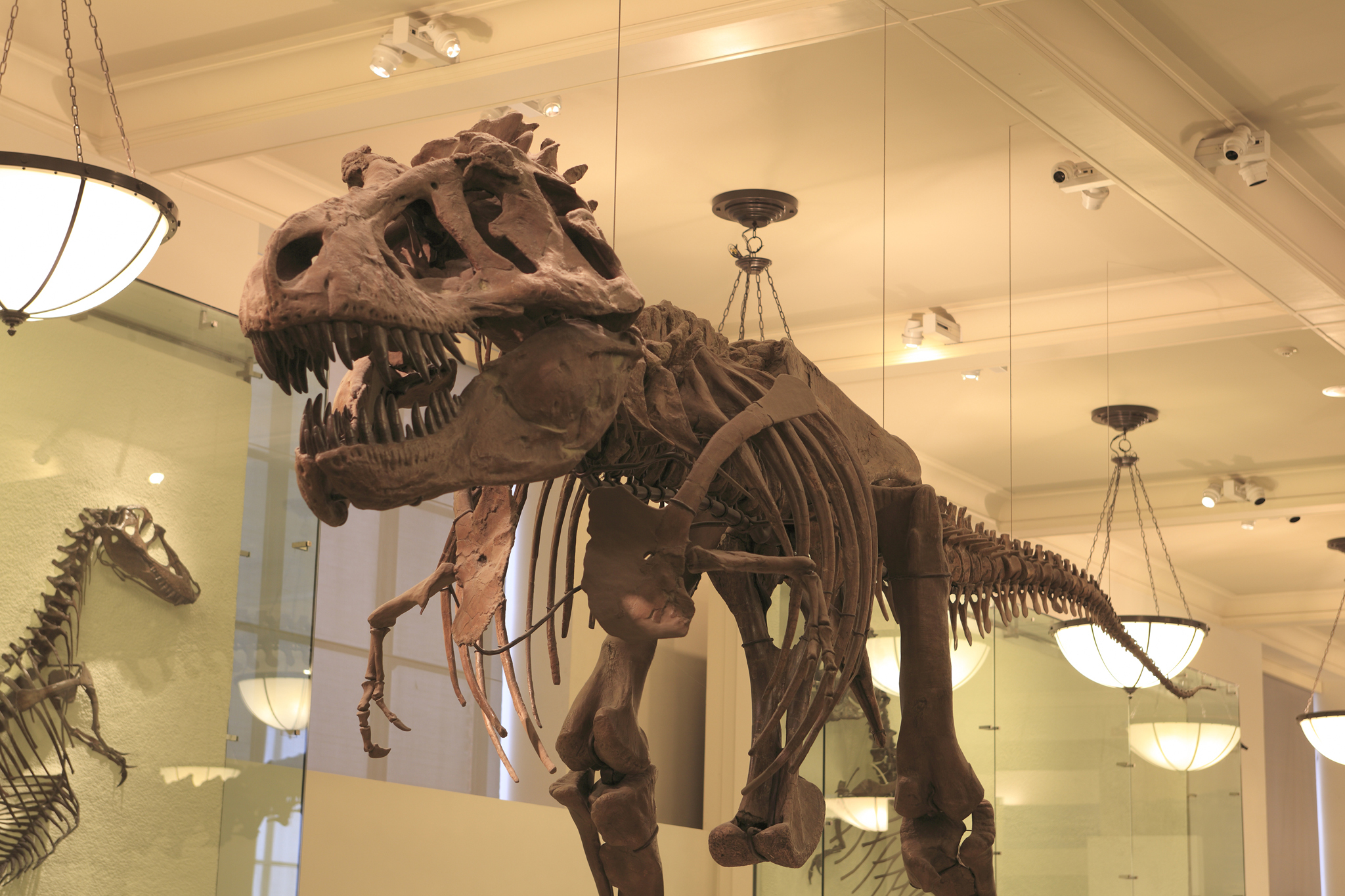 музей динозавров в сша