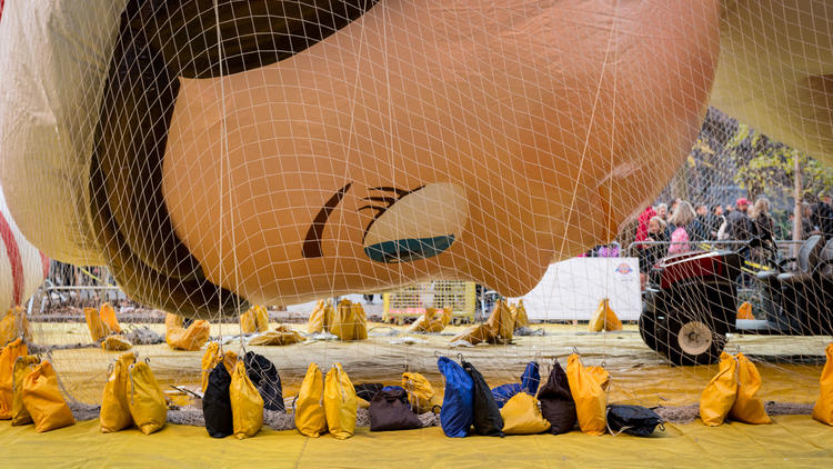 Macy's Parade Balloon Inflation, November 2012