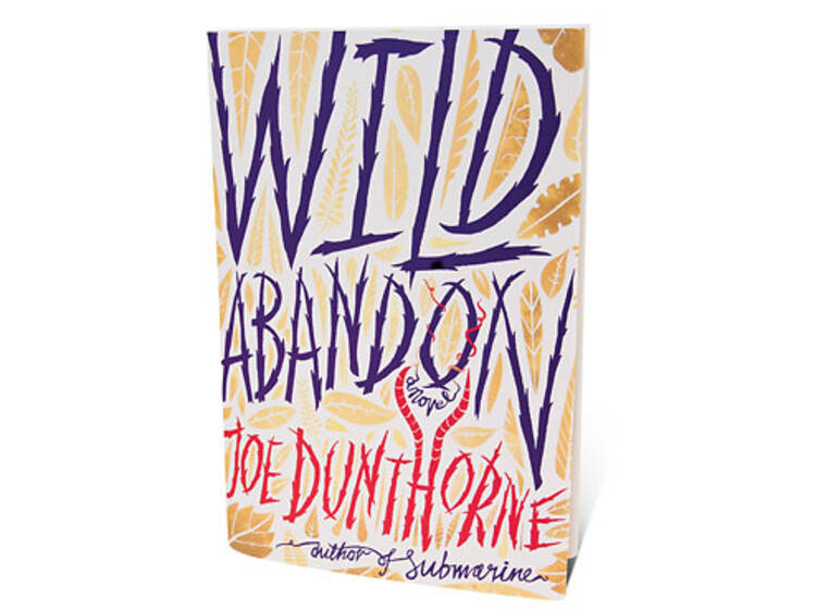 Wild Abandon by Joe Dunthorne Wild Abandon by Joe Dunthorne