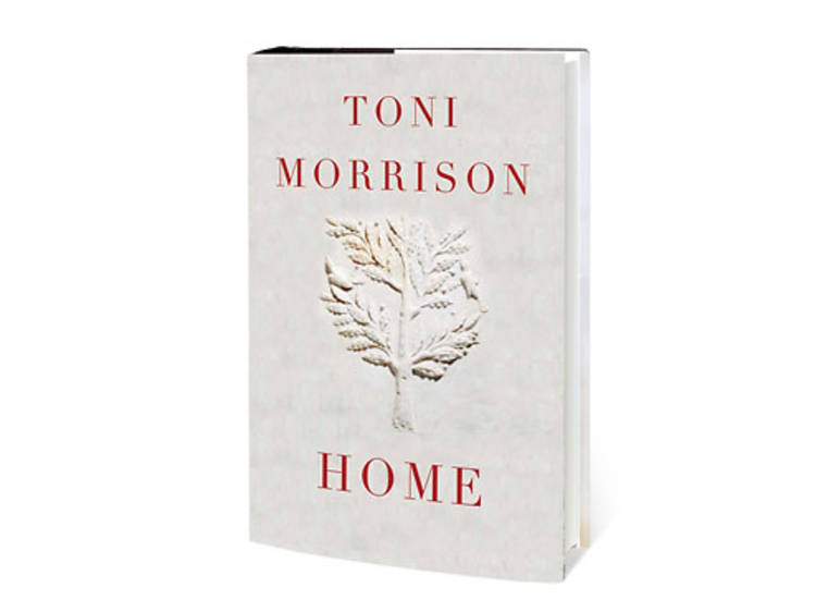 Home by Toni Morrison