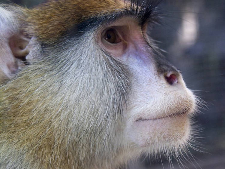 Zoo de Barcelona