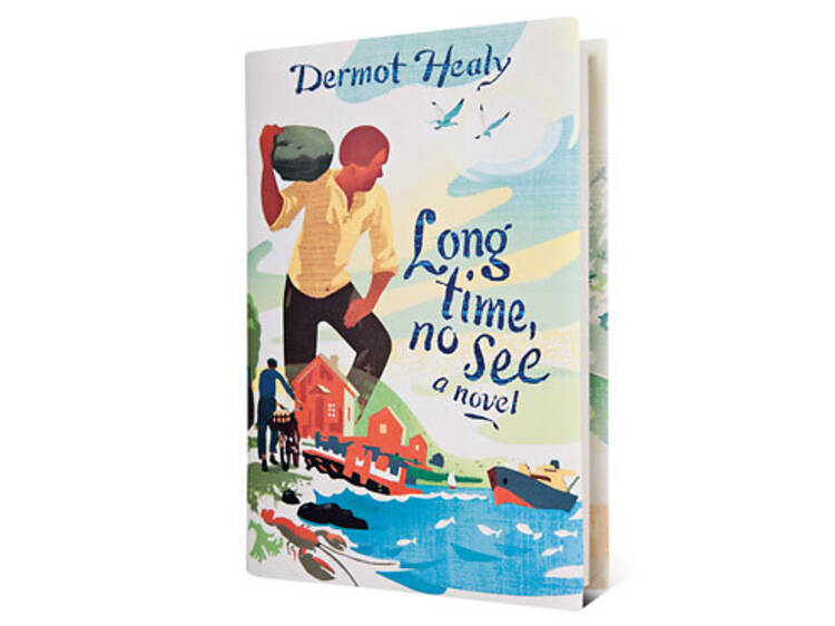 Long Time, No See by Dermot Healy