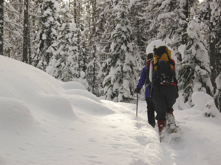 Snowshoeing