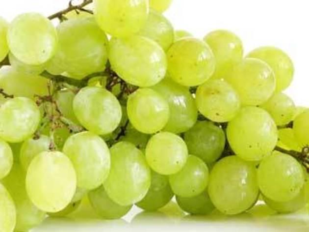 CremosMascarpone_RaimMoscatell_Vainilla.jpg CremosMascarpone_RaimMoscatell_Vainilla.jpg