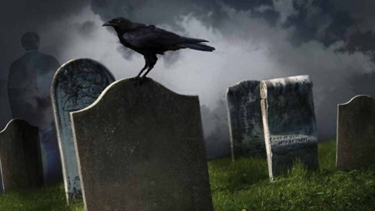 maratoterror_cartell.jpg maratoterror_cartell.jpg