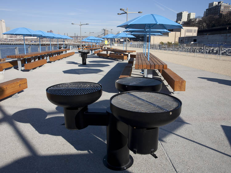 Picnic in Brooklyn Bridge Park, Pier 5