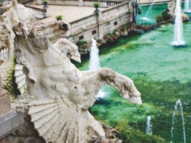 Botànica Botànica (Parc de la Ciutadella)