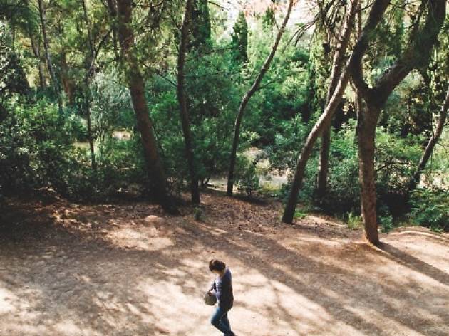 (Parc Güell)