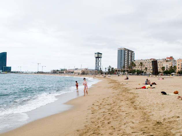 Area Guide Barceloneta The Ports Time Out Barcelona