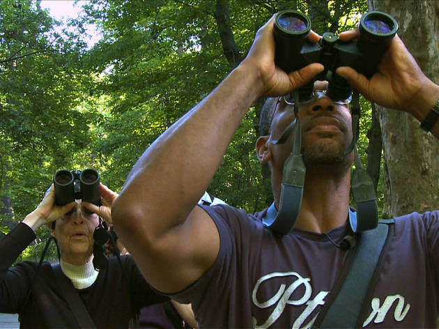 Birders: The Central Park Effect Birders: The Central Park Effect