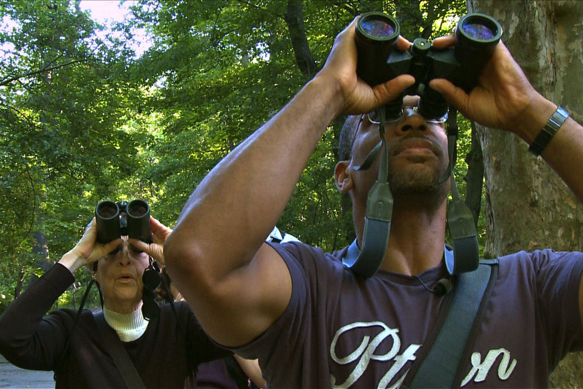 Birders The Central Park Effect Watch Online Free Birders: The Central Park Effect | Film review