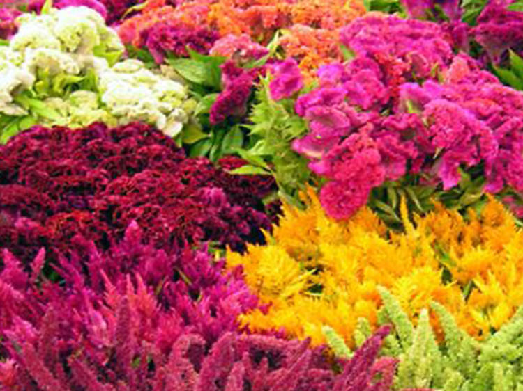 For fresh flowers: Original Los Angeles Flower Market