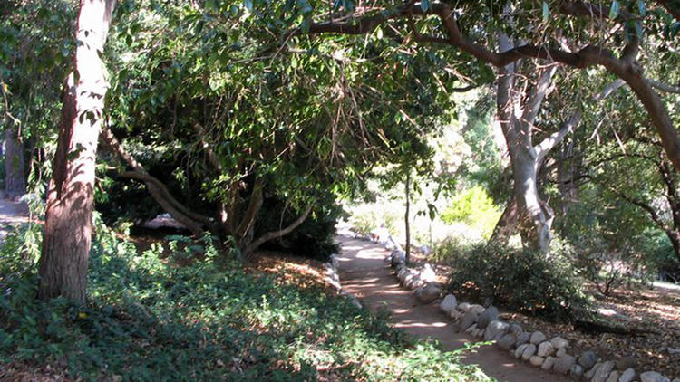 Mildred E. Mathias Botanical Garden