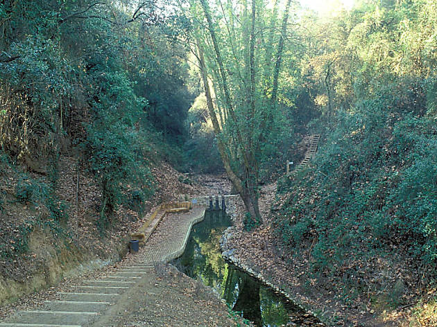 Collserola Collserola