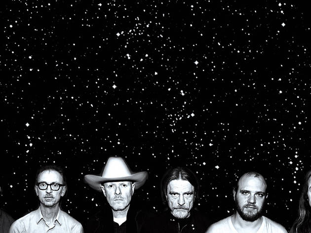 Swans.jpg Swans.jpg