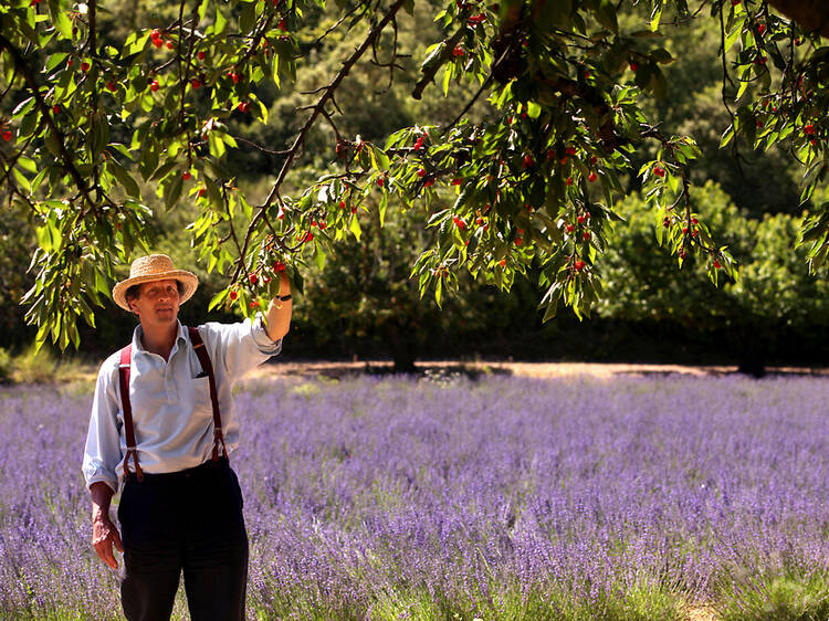 Monty Don’s French Gardens