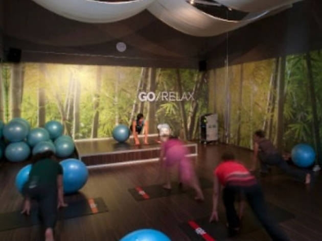 Go Fitness Go Fitness