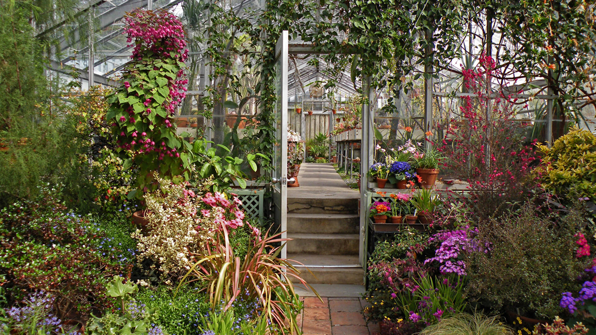 Fun Dates In NYC To Rekindle A Long term Romance fun-dates-in-nyc-to-rekindle-a-long-term-romance