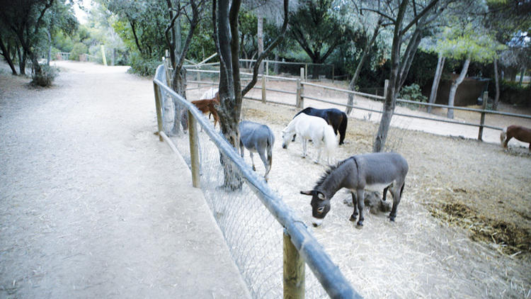 Parc de l'Oreneta