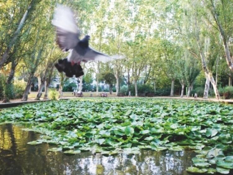 Arte al aire libre en Barcelona