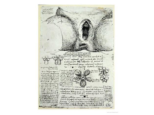 De Vinci De Vinci