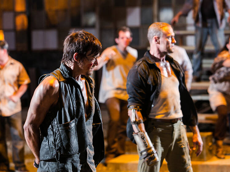 The Walking Dead The Walking Dead
