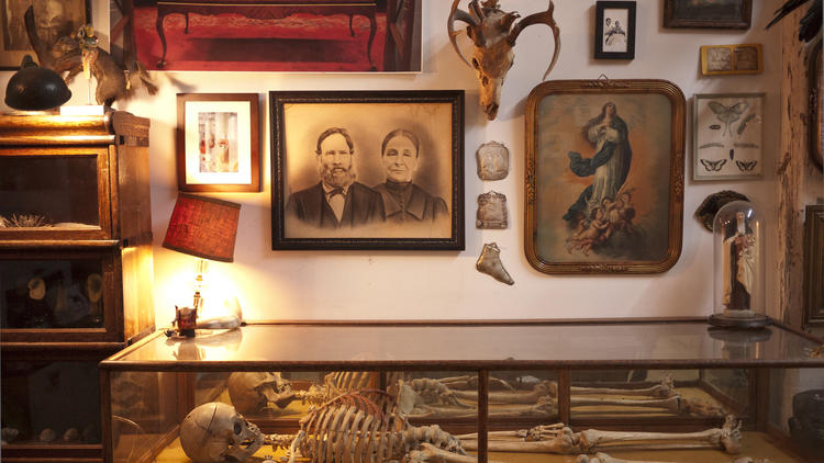 Morbid Anatomy Library