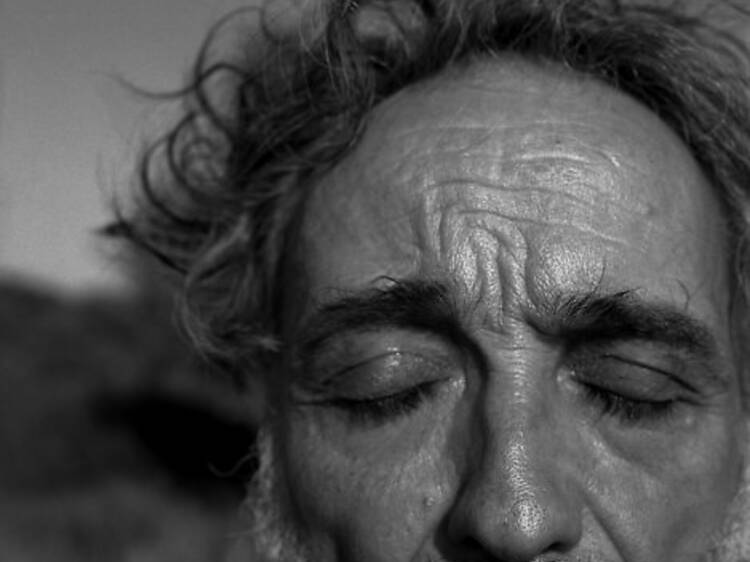 autorretrato._formentera._2010.jpg autorretrato._formentera._2010.jpg