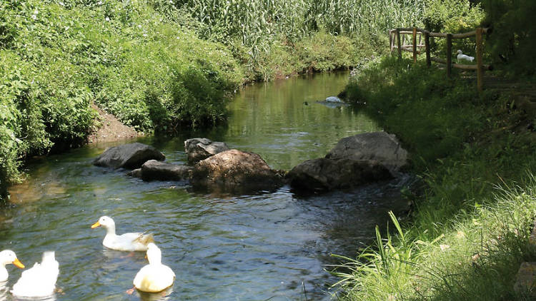 1. Los antiguos caminos del agua