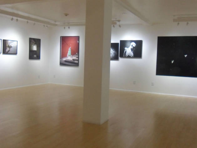 Galería IFAL Galería IFAL