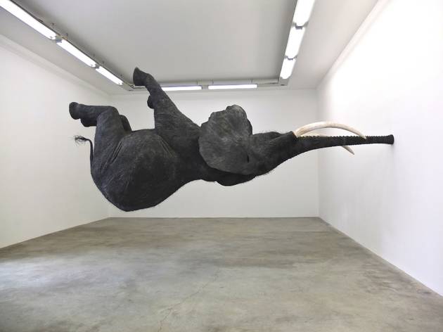 Emmanuel Perrotin Emmanuel Perrotin