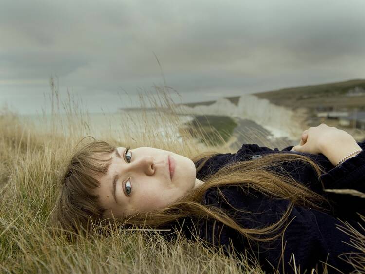 Alessi's Ark