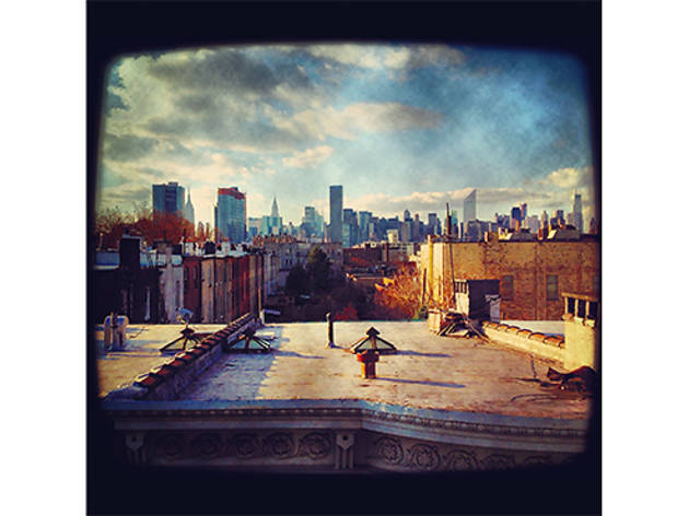 (Photograph: Sarah Cox)