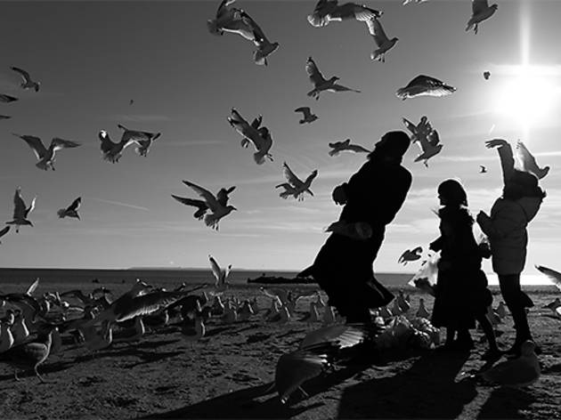 (Photograph: Bobi Dojcinovski)