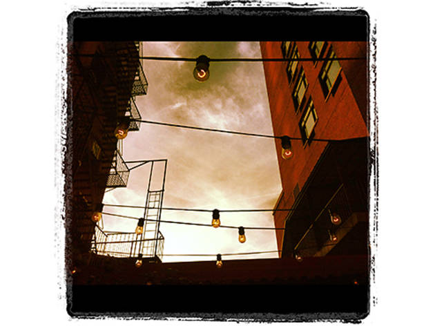(Photograph: Diana Zuluaga)