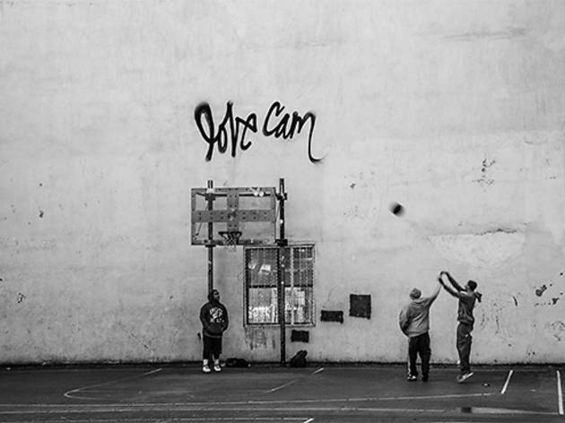 (Photograph: Sean Shapiro)