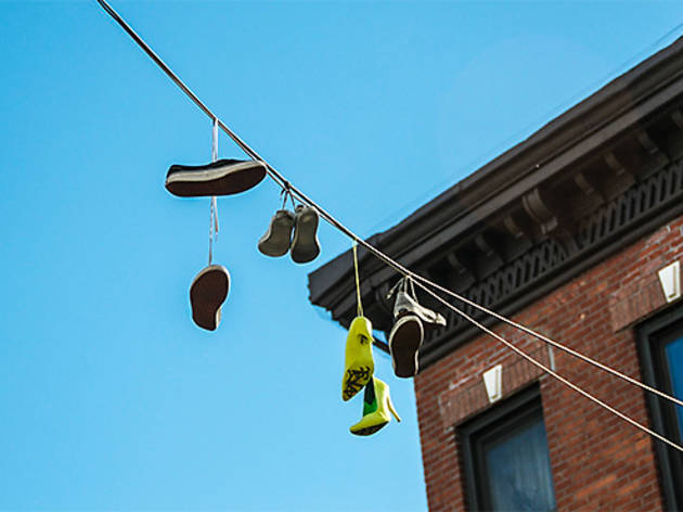 (Photograph: Sean Shapiro)