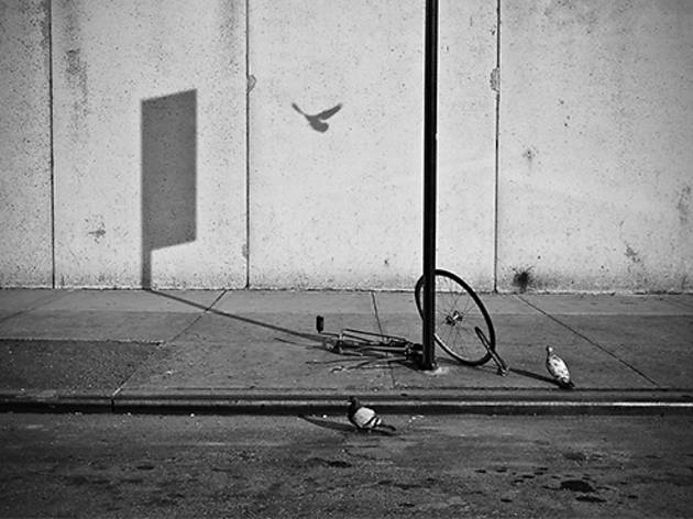 (Photograph: Walter Shin)